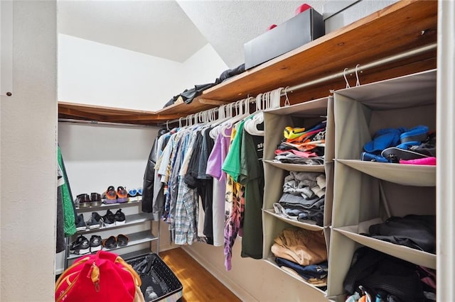 walk in closet featuring wood finished floors