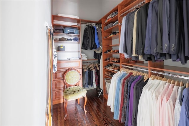 spacious closet with dark hardwood / wood-style flooring