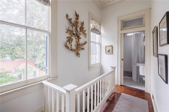 hall with dark hardwood / wood-style floors and ornamental molding