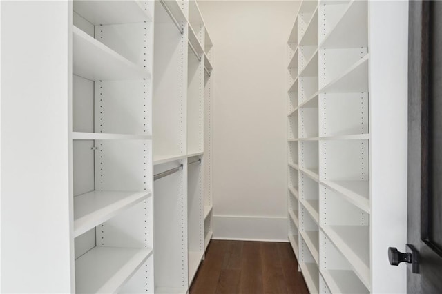 walk in closet featuring dark hardwood / wood-style floors