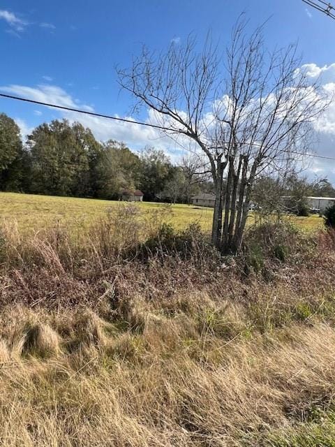TBD Airport Rd, Hammond, LA 70403 - photo 4