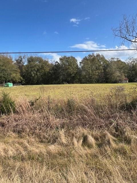 TBD Airport Rd, Hammond, LA 70403 - photo 5