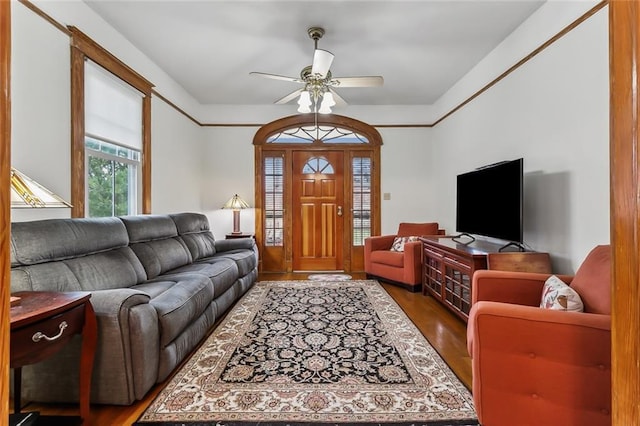 living room featuring ceiling fan and dark hardwood / wood-style floors