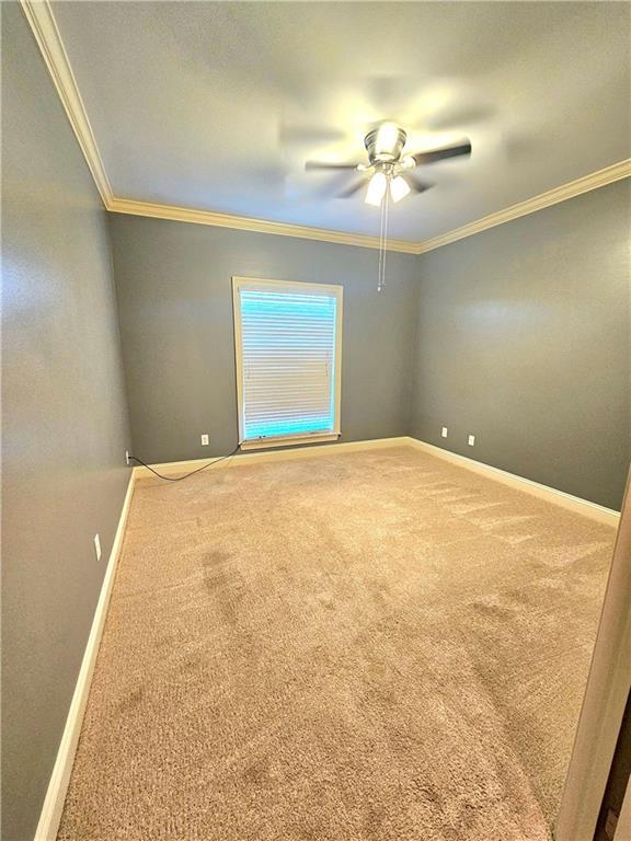 empty room featuring ceiling fan, ornamental molding, and carpet floors