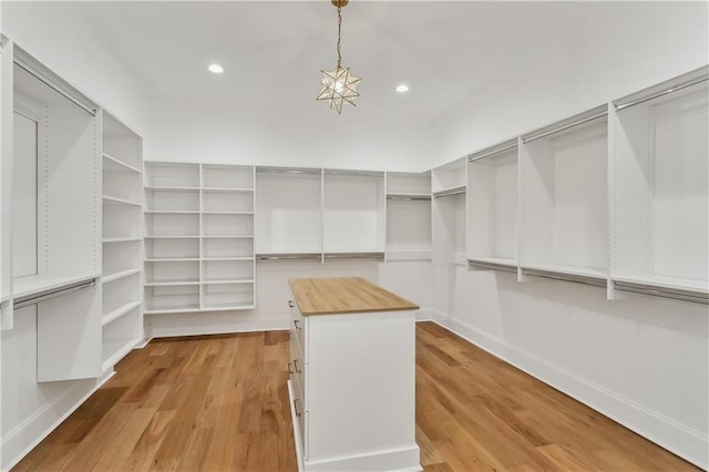 spacious closet with light wood-type flooring