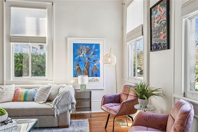 living area featuring wood-type flooring