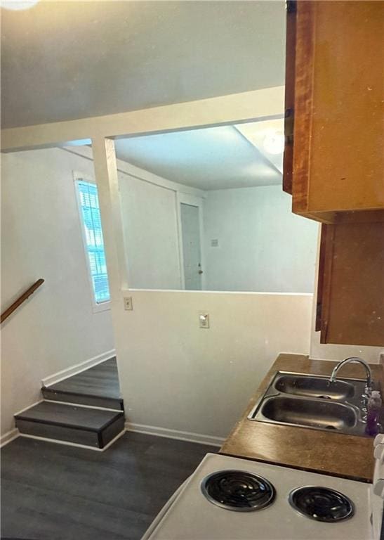 kitchen with dark hardwood / wood-style flooring and sink