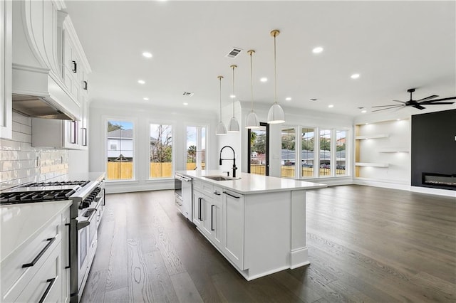 kitchen with stainless steel range, sink, white cabinets, and an island with sink