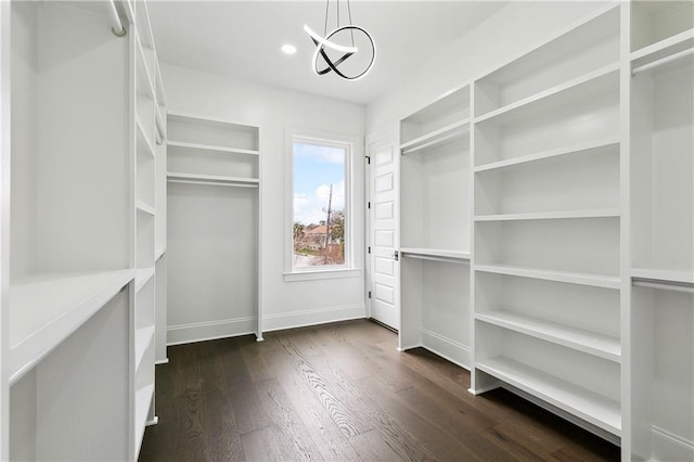 walk in closet with dark hardwood / wood-style floors