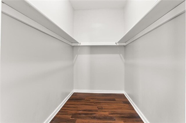 spacious closet with dark wood-type flooring