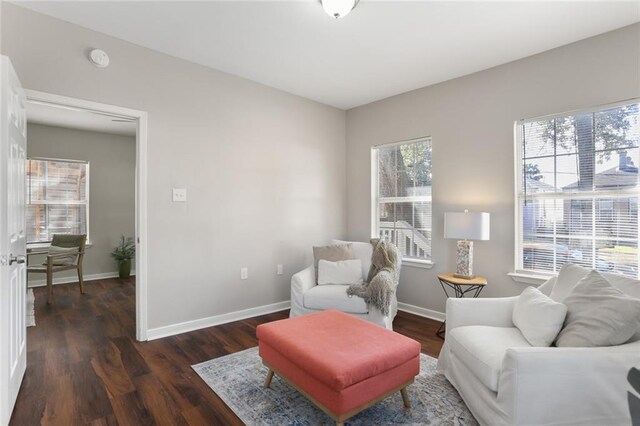 sitting room featuring dark wood-type flooring