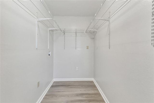 spacious closet with wood-type flooring