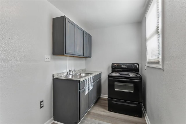 kitchen featuring black range with electric cooktop, light hardwood / wood-style floors, gray cabinetry, and sink