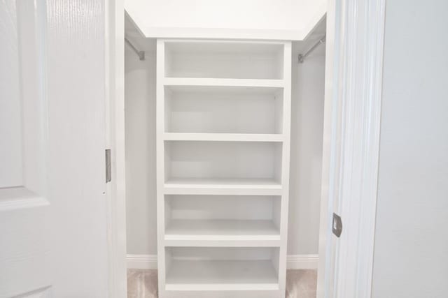 view of spacious closet