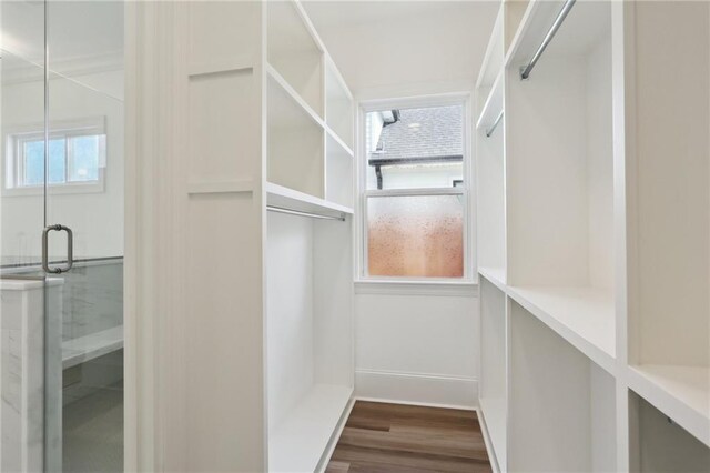 spacious closet featuring dark hardwood / wood-style flooring