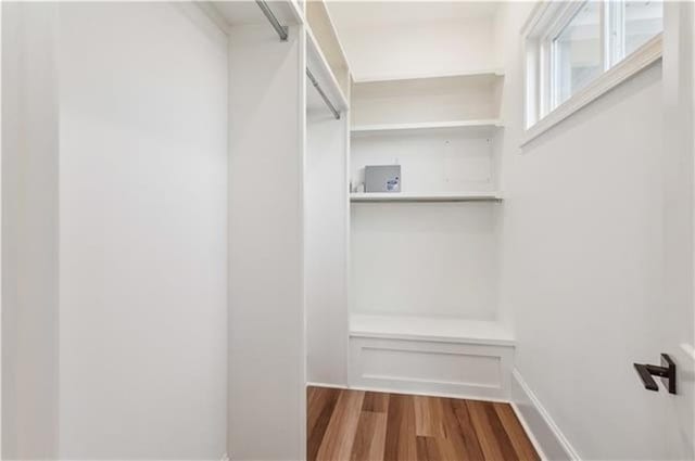 walk in closet with wood-type flooring