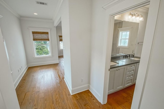 hall with crown molding, sink, light hardwood / wood-style floors, and a wealth of natural light