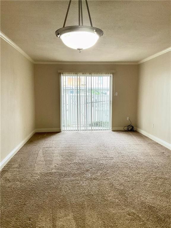 carpeted spare room featuring a textured ceiling and crown molding