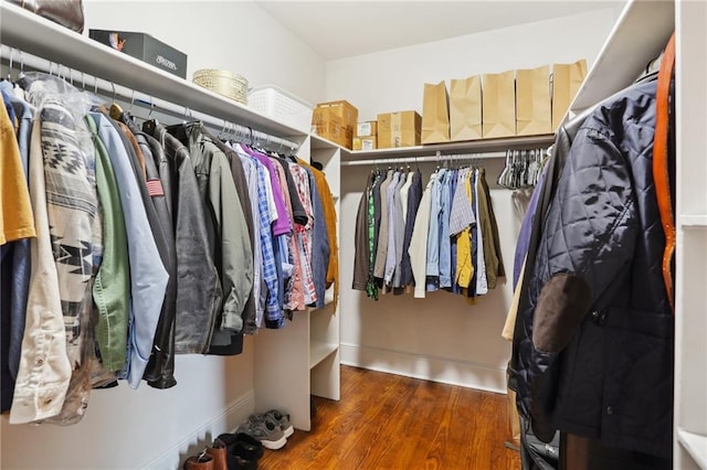 walk in closet featuring wood finished floors