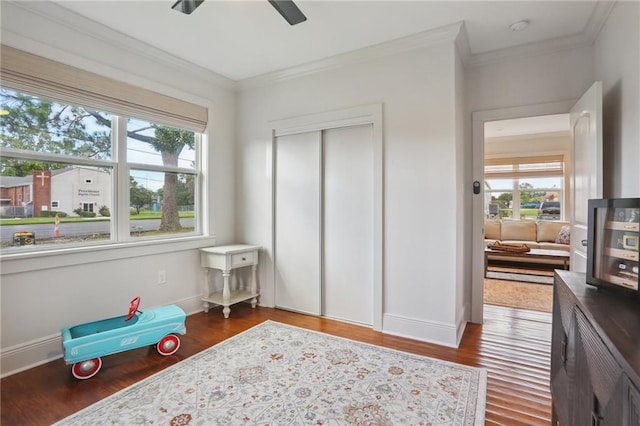 bedroom featuring multiple windows, dark wood-type flooring, and crown molding