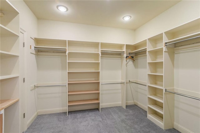 walk in closet with carpet floors