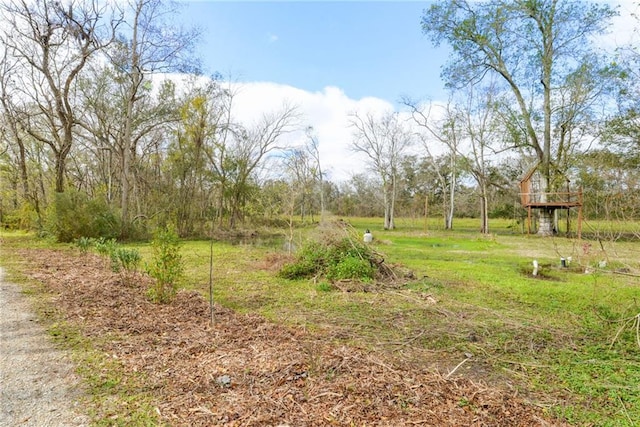 view of yard with a rural view