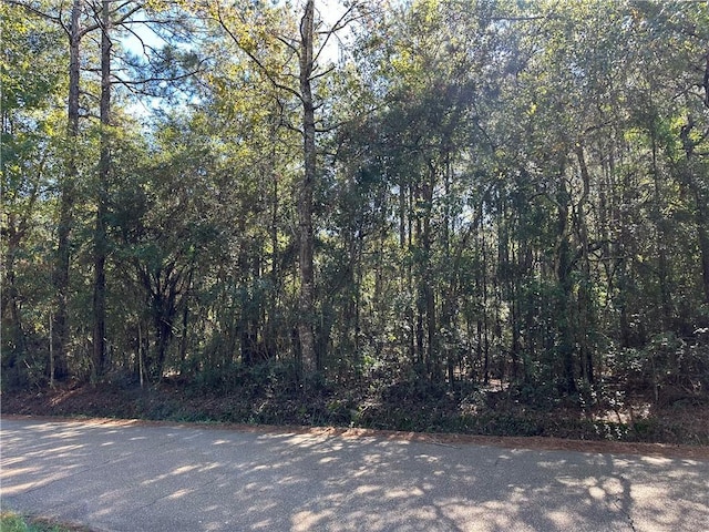 Listing photo 3 for LOTT1T2 Tantela Ranch Rd, Covington LA 70435