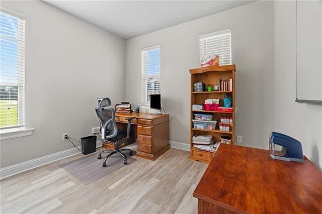 office space featuring a healthy amount of sunlight and light wood-type flooring