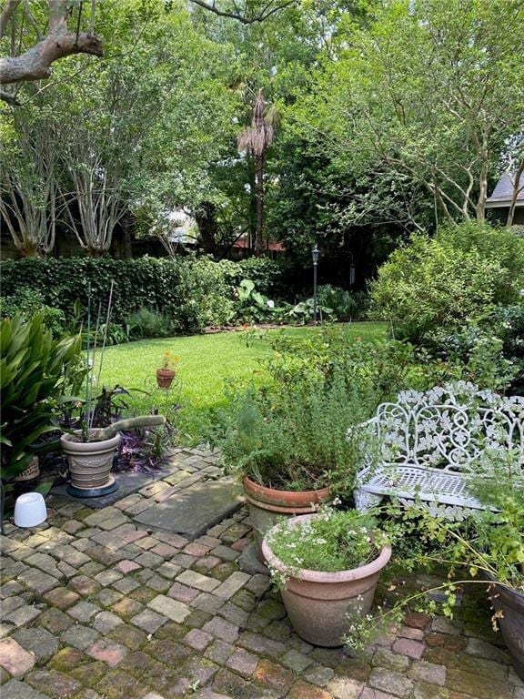 view of yard with a patio