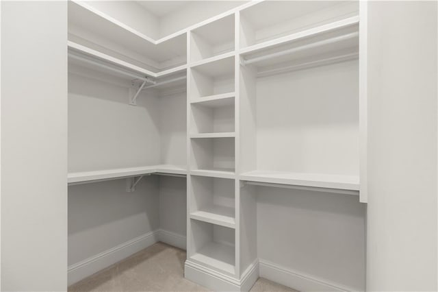 walk in closet with light carpet