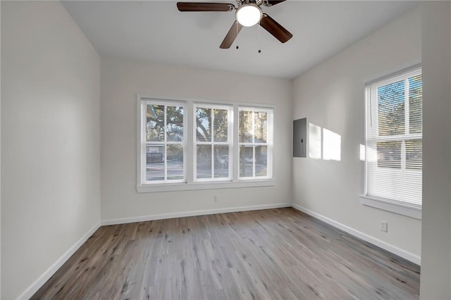 spare room with ceiling fan and light hardwood / wood-style floors