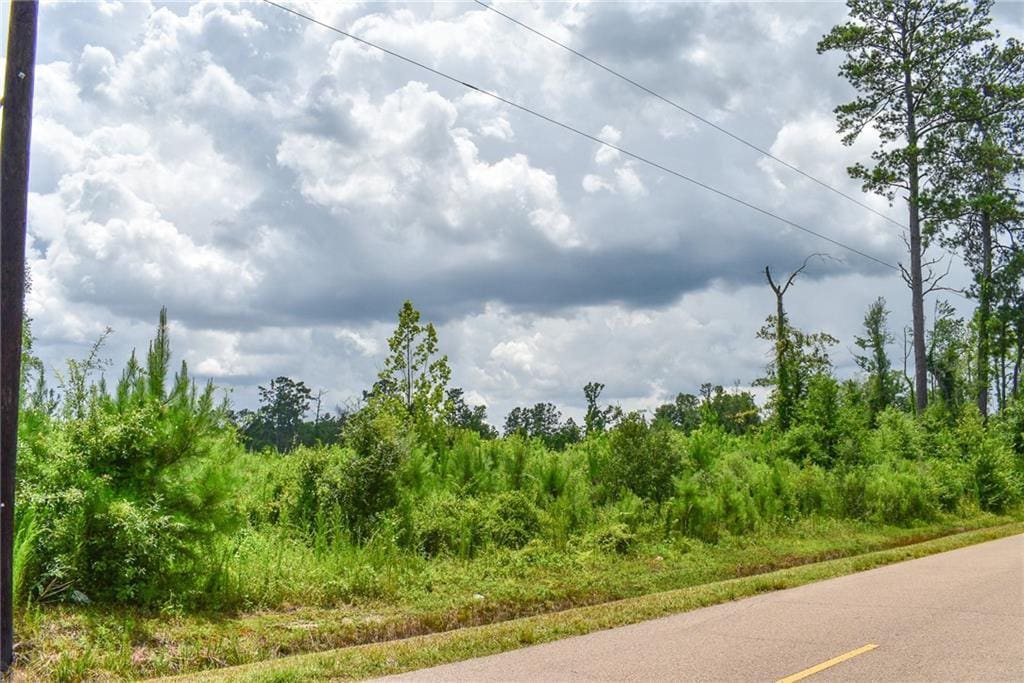 Old Genessee Rd, Tickfaw, LA 70466