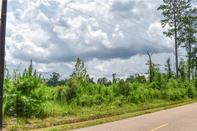 Old Genessee Rd, Tickfaw, LA 70466