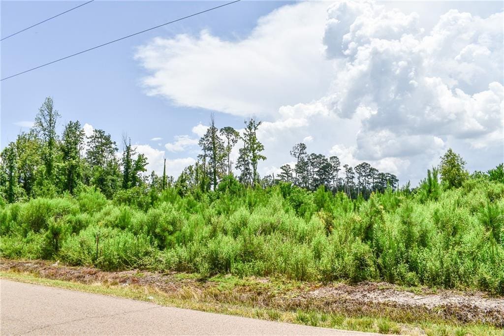 Old Genessee Rd, Tickfaw, LA 70466