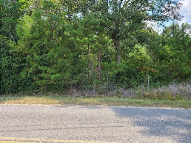 Listing photo 2 for 0 George Wise Rd, Carriere MS 39426