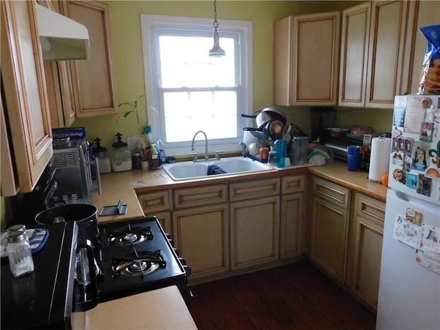 kitchen featuring dark hardwood / wood-style flooring, sink, light brown cabinets, decorative light fixtures, and white fridge