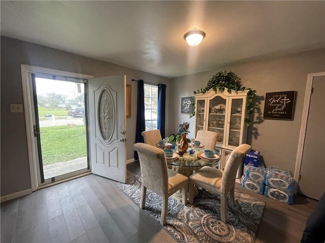 dining room with hardwood / wood-style flooring