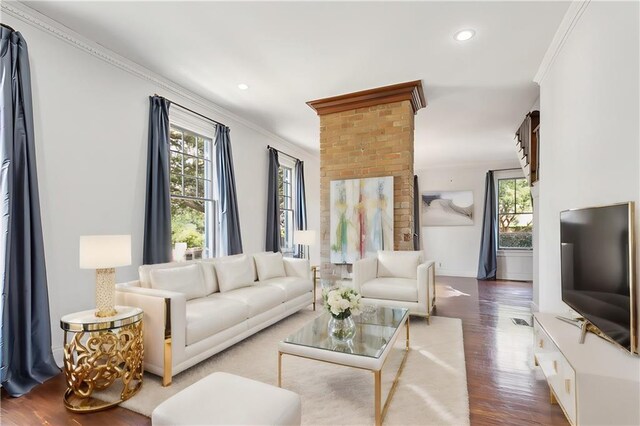 living room with crown molding and wood-type flooring