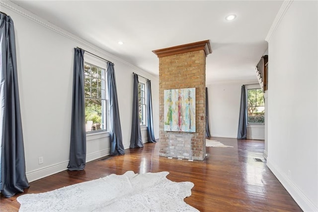 interior space featuring ornamental molding, plenty of natural light, and dark wood-type flooring