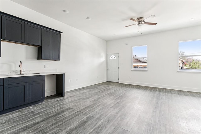 kitchen featuring light hardwood / wood-style floors, ceiling fan, and sink