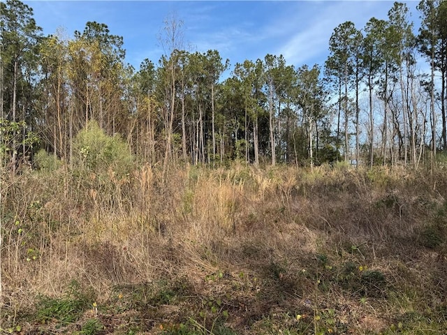 Coci Rd, Pearl River LA, 70452 land for sale