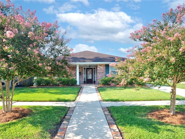 view of front of home featuring a front yard