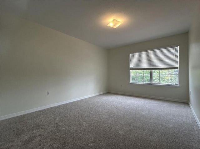 empty room with carpet