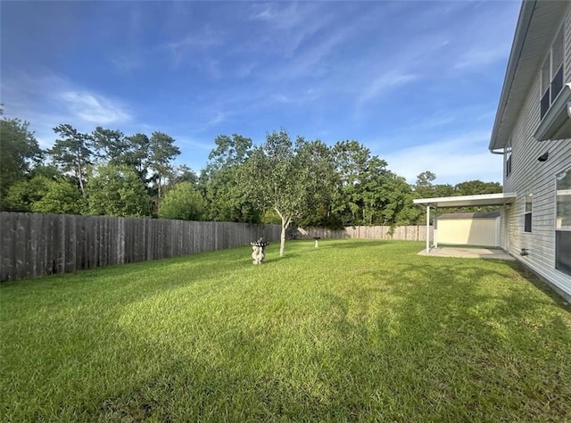 view of yard featuring a patio area