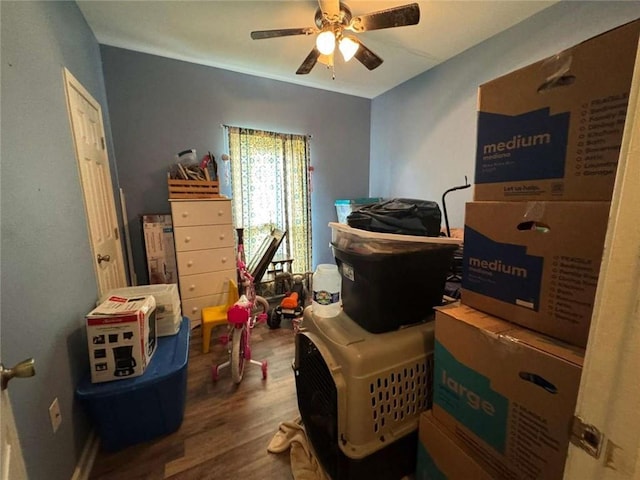 interior space with ceiling fan