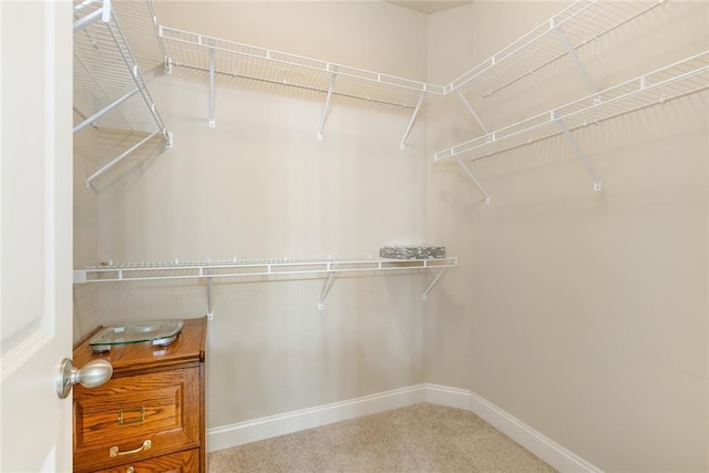 walk in closet featuring carpet flooring