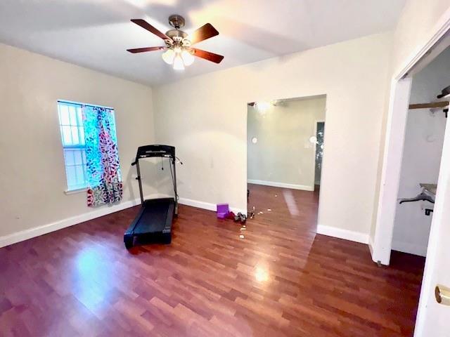 workout room featuring dark hardwood / wood-style flooring and ceiling fan