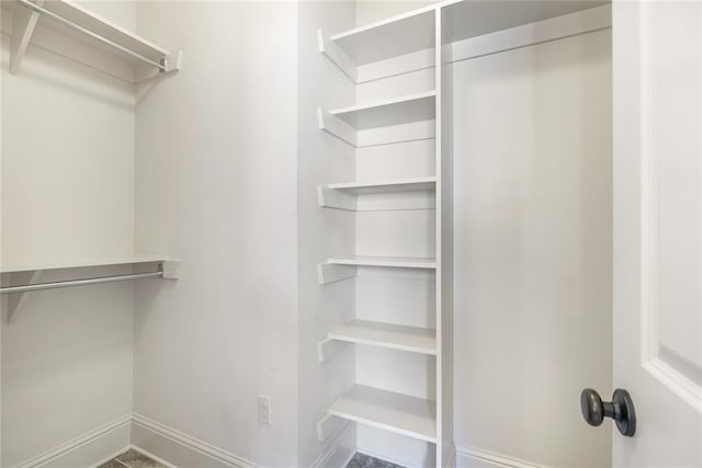 view of walk in closet