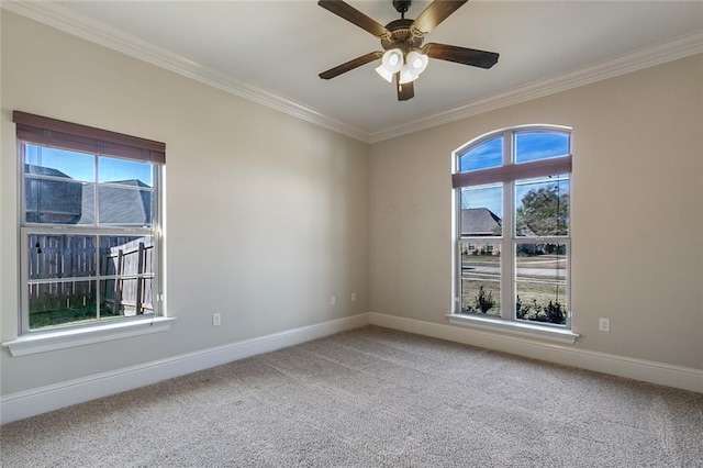 carpeted spare room with plenty of natural light and ornamental molding