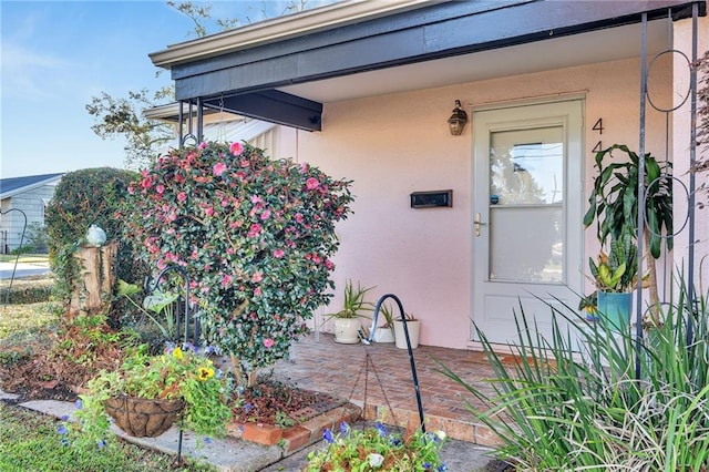 view of exterior entry with a patio